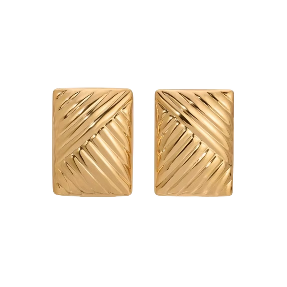 Texture Gold Plated Earrings
