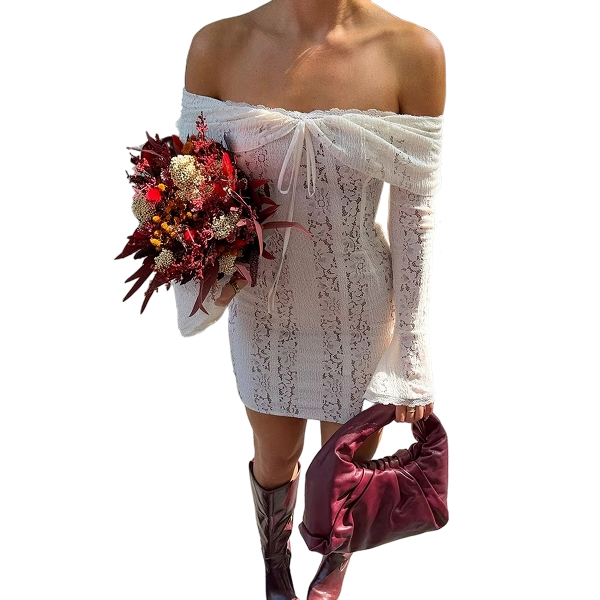 Lace Slim Mini Dress